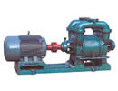 Vacuum pump series